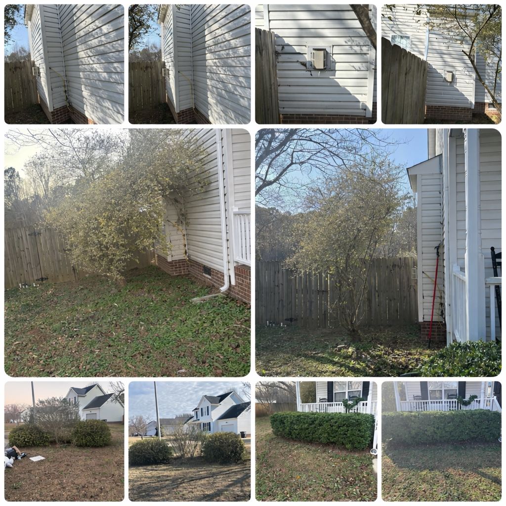 TBE Services lawn care work photo